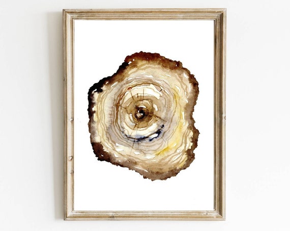 Oak Tree Ring Watercolor Painting, Minimalist Art Print