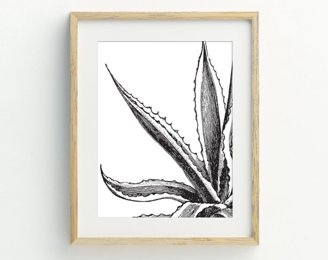 Succulent Art Print, Botanical Modern Wall Art