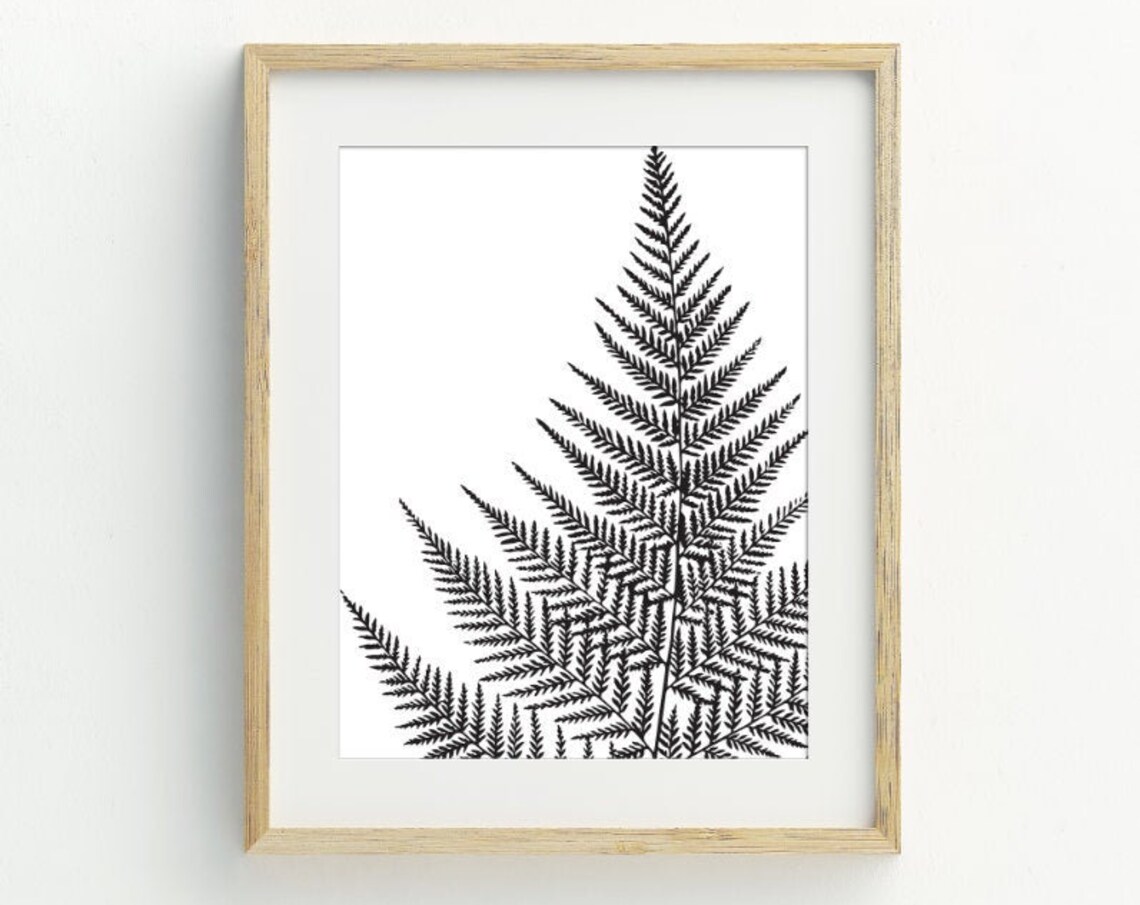 Fern Art Print, Black and White Botanical Decor