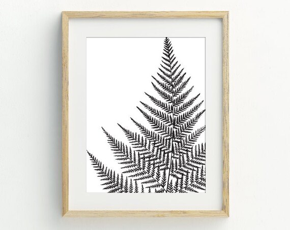 Fern Art Print, Black and White Botanical Decor