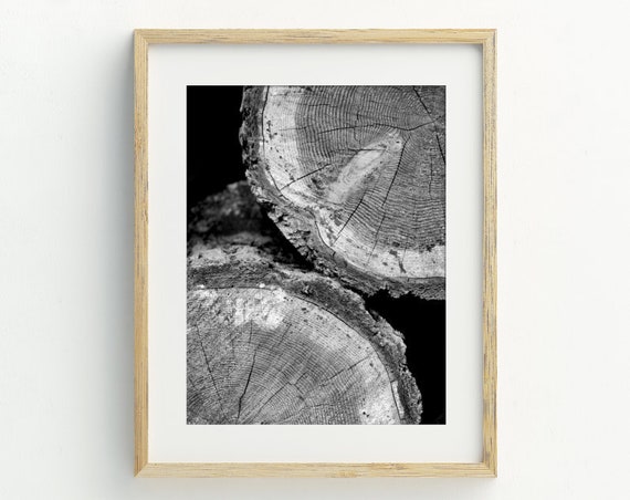 Tree Rings Wall Art Wood Slice Art Print Tree Stump Print Modern Farmhouse Art Logs Photo 5x7 8x10 11x14