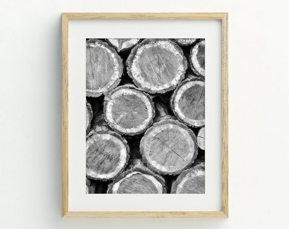 Tree Rings Photography Wall Art Wood Slice Art Print Tree Stump Print Modern Farmhouse Art 5x7 8x10 11x14