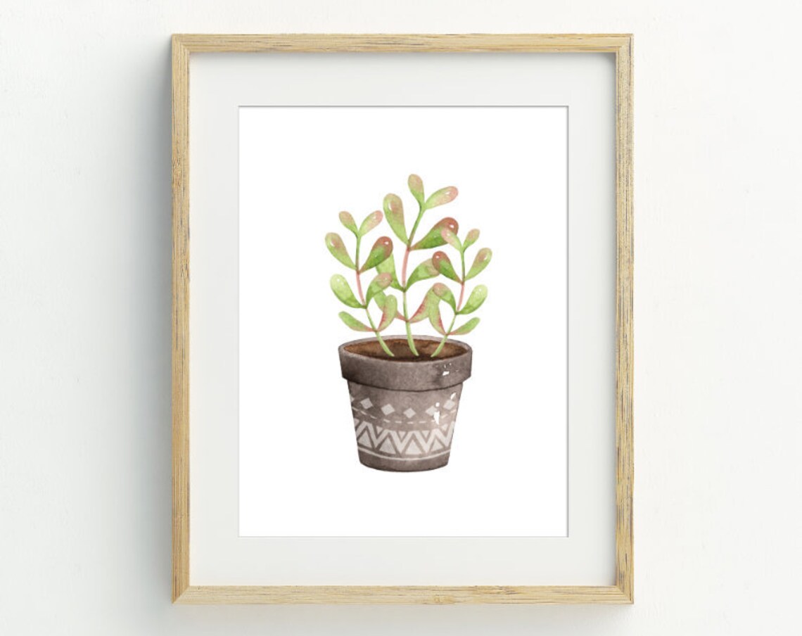 Watercolor Potted Jade Plant Terracotta Pot Botanical Boho Wall Art