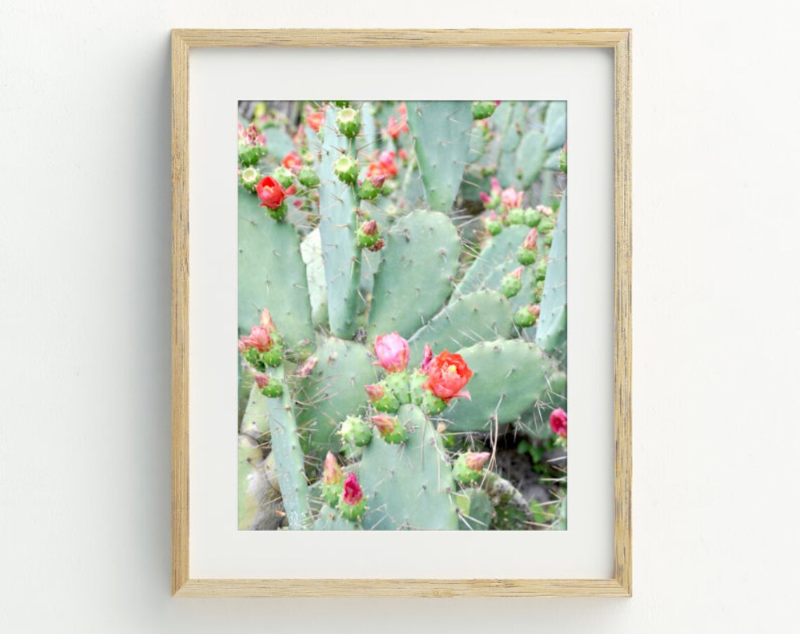 Cactus Art Print, Modern Botanical Wall Art