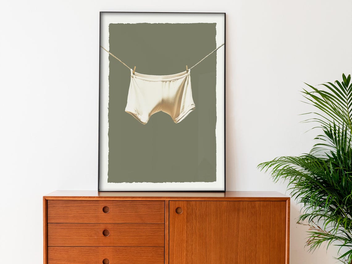 White Briefs On Clothesline Minimal Laundry Funny Art Poster - Image 3