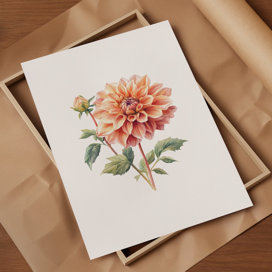 Coral Dahlia Watercolor Botanical Flower Illustration Poster