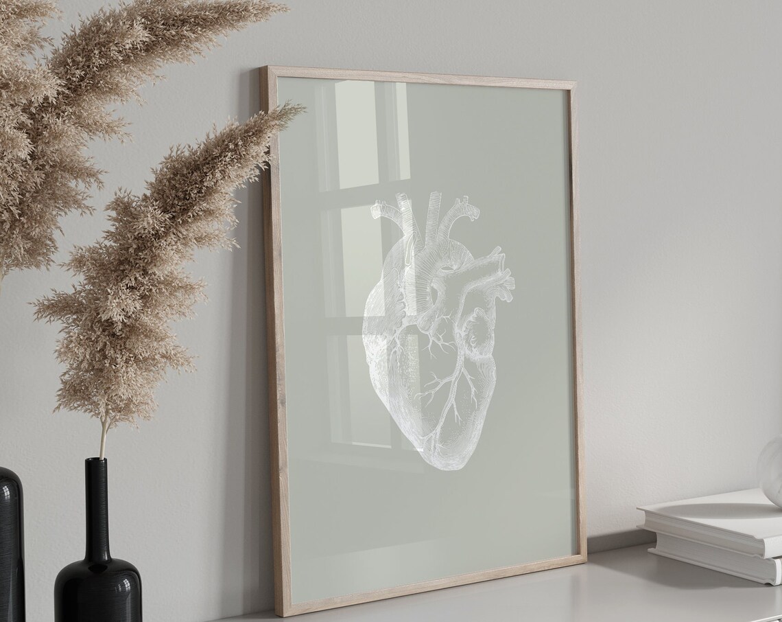 Heart Anatomy Sage Green Medical Art Print