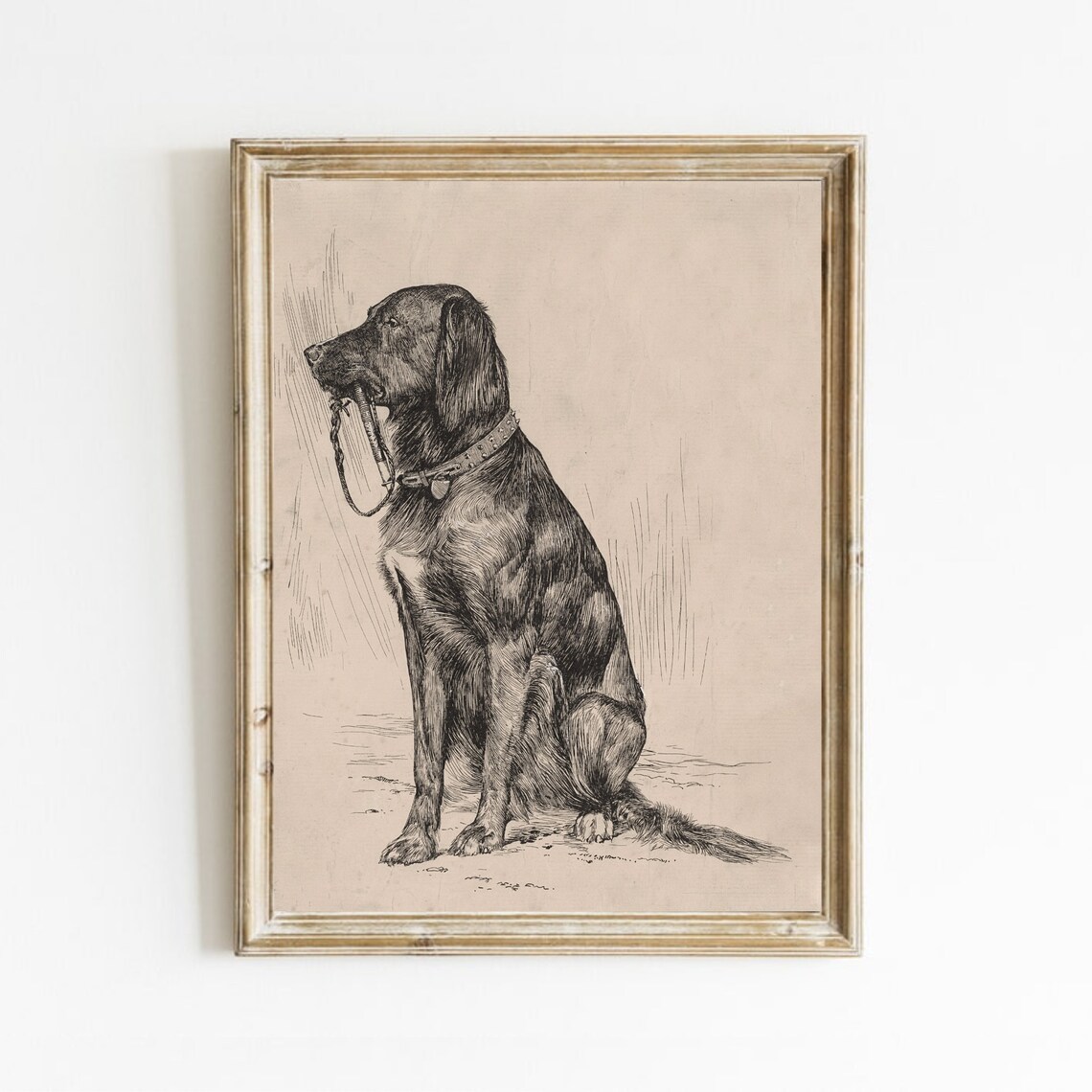 Black Labrador Vintage Dog Portrait, Farmhouse Art Print
