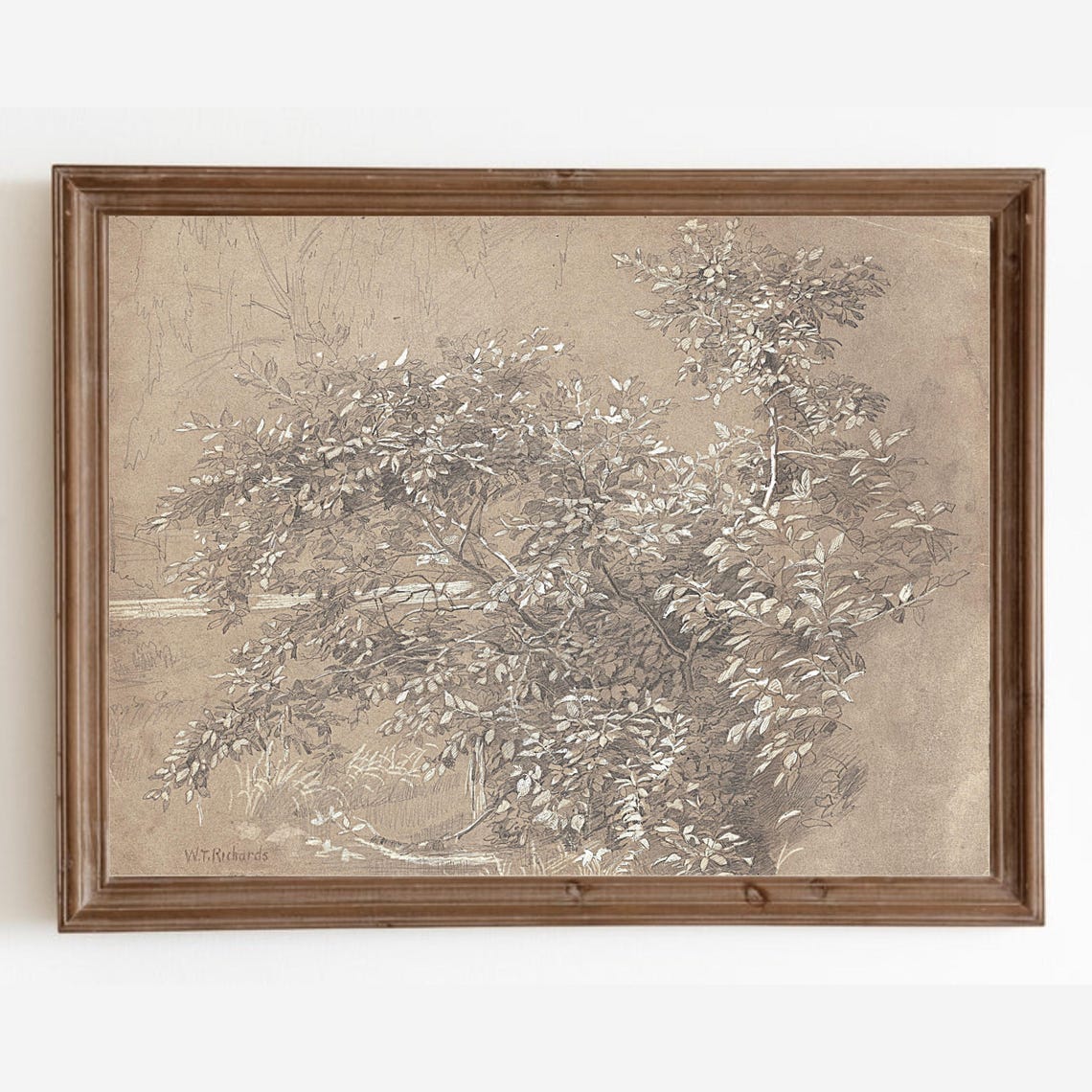 Antique Neutral Tree Study Signed Rustic Botanical Sketch Poster