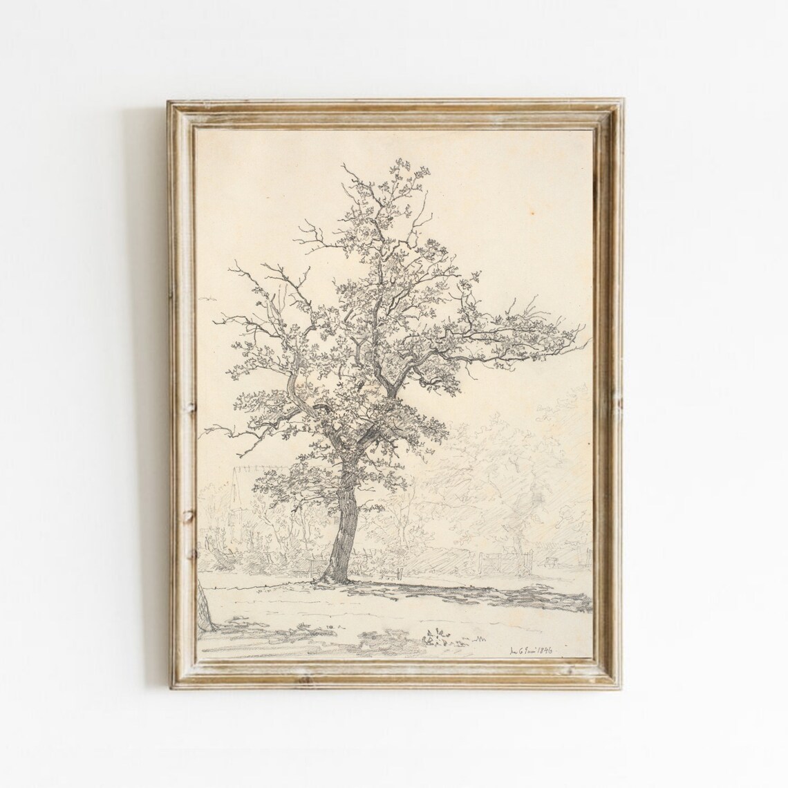 Vintage Tree Sketch, Neutral Landscape Art Print