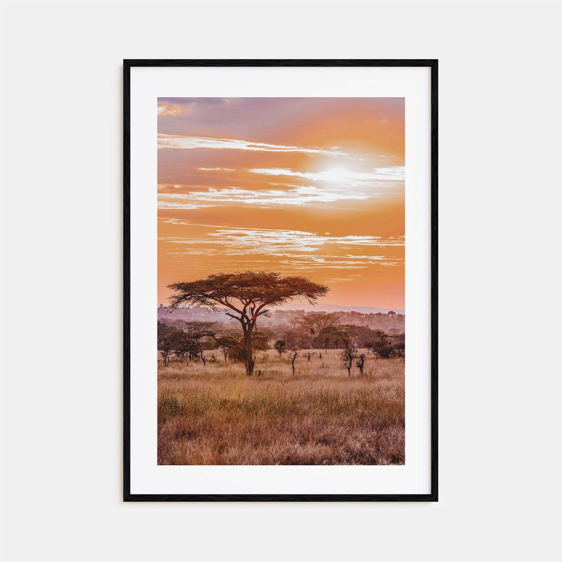 Savannah African Sunset Acacia Tree Golden Grassland View Poster