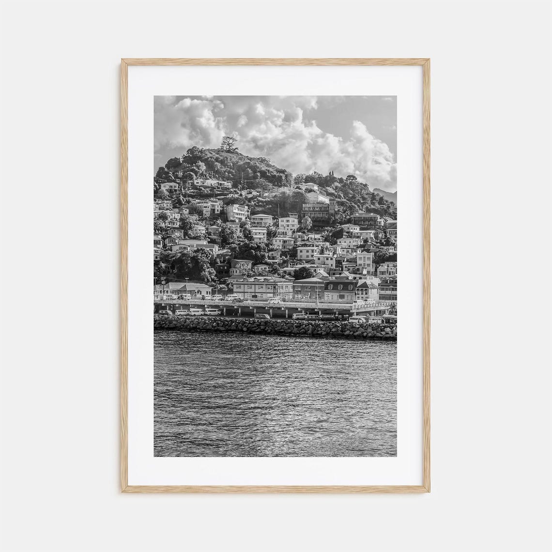 Grenada Saint Georges Harbor Hillside Town Black and White Poster
