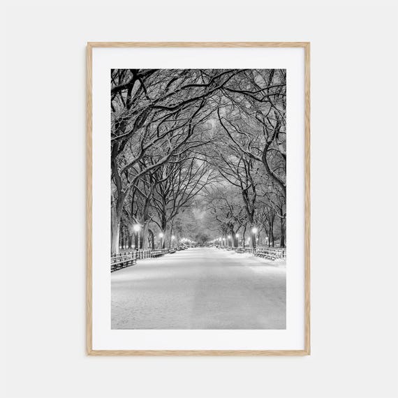 Central Park Black and White Travel Poster