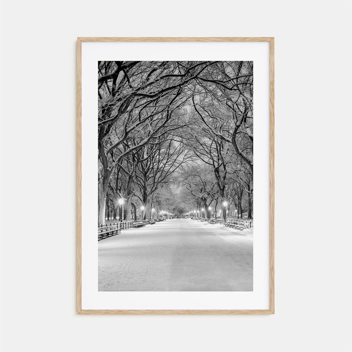 Central Park Black and White Travel Poster