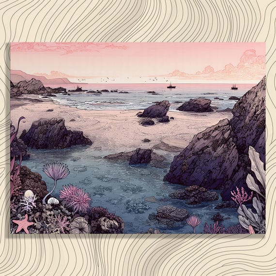 Coastal Tide Pool Canvas Wall Art Colorful Nautical Decor Ocean Sunset Coral Reef Starfish Sea Anemone Rocky Coastline Fishing Boats