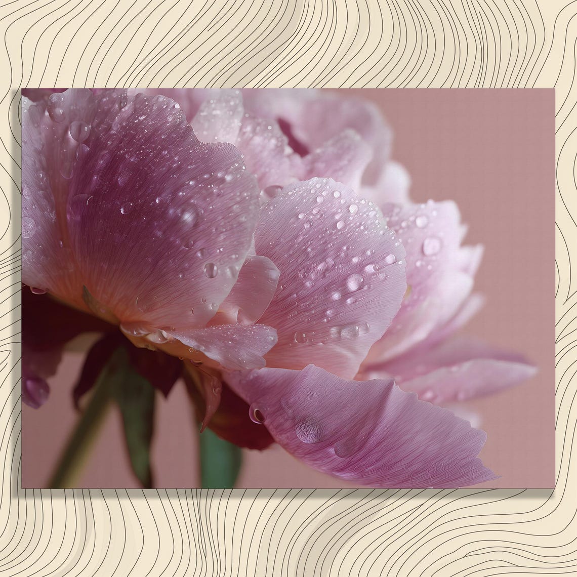 Peony Canvas Wall Art Pink Floral Decor Botanical Print Water Drop Macro Flower Petals Garden Bloom Hanging Closeup