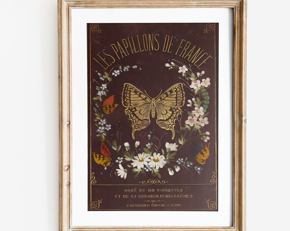 Butterfly Art Nouveau Book Cover, Beige and Gold Poster