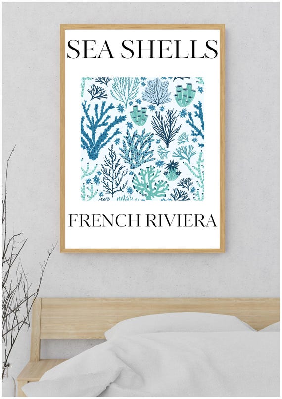 French Riviera Sea Shells Art Print