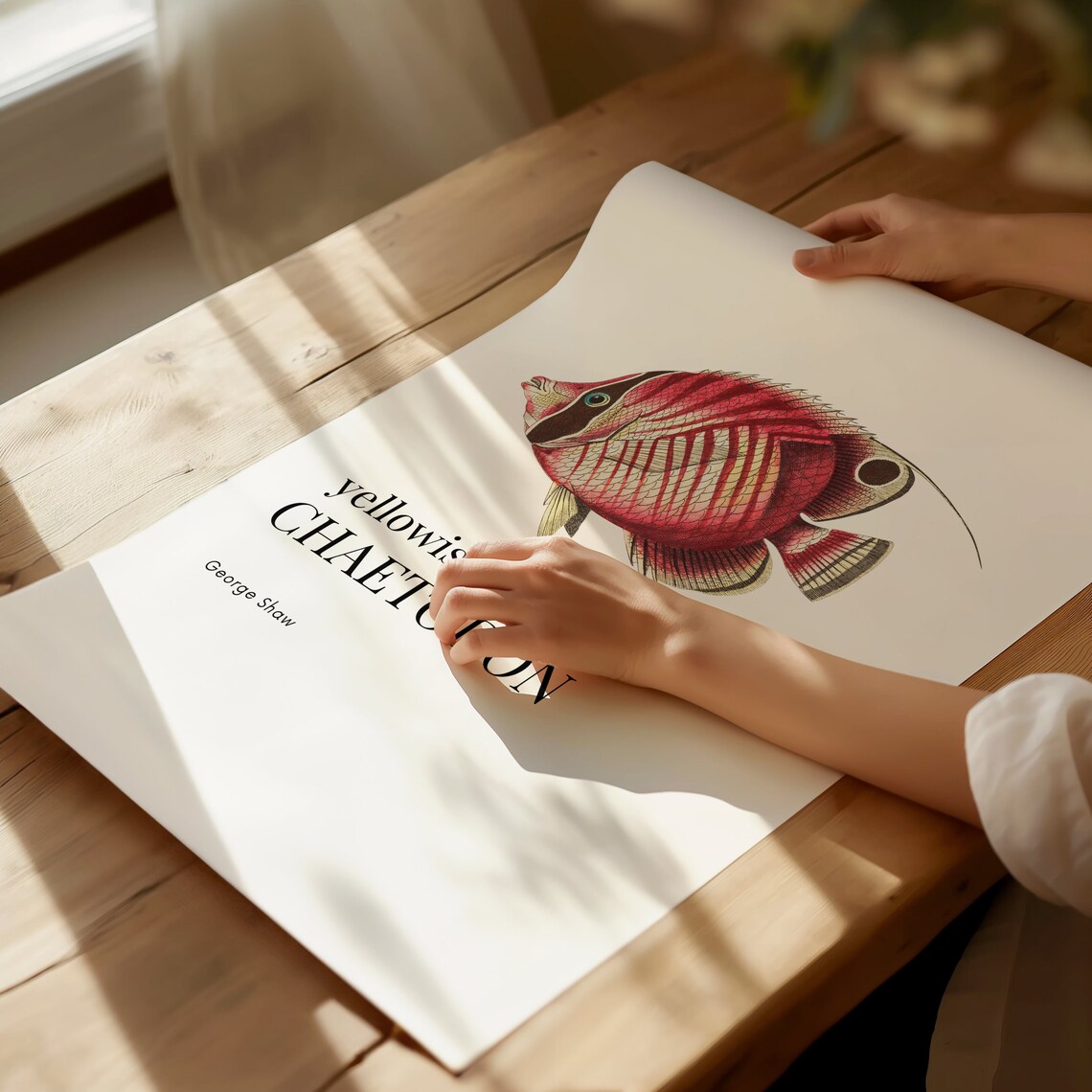 Yellowish Chaetodon Red Fish George Shaw Vintage Marine Life Print - Image 2