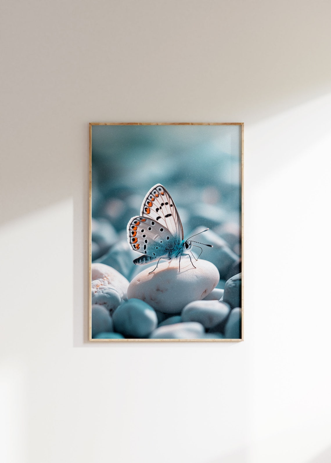 Blue Butterfly Orange Spots Pebbles Macro Photography Art Poster