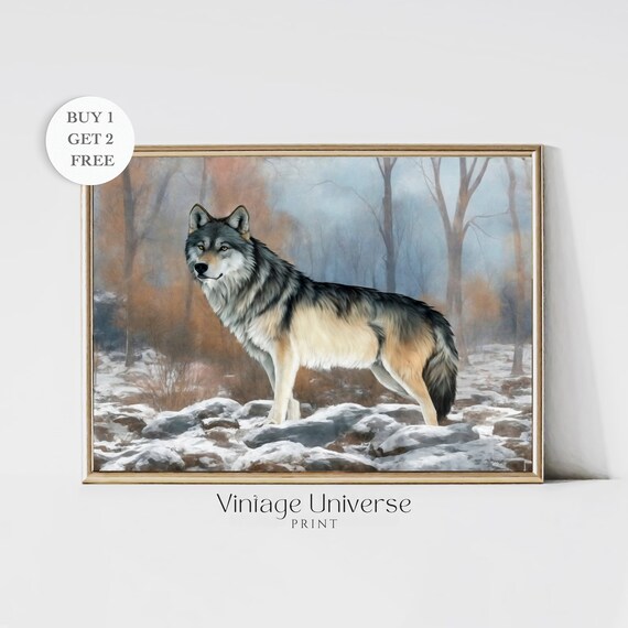 Grey Wolf Snowy Rocks Winter Forest Scene Majestic Wildlife Print