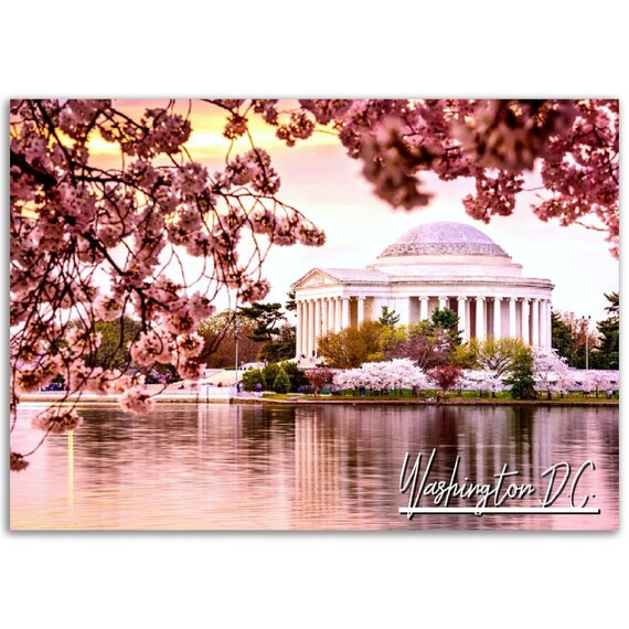 Jefferson Memorial Cherry Blossoms Washington DC Sunset Poster