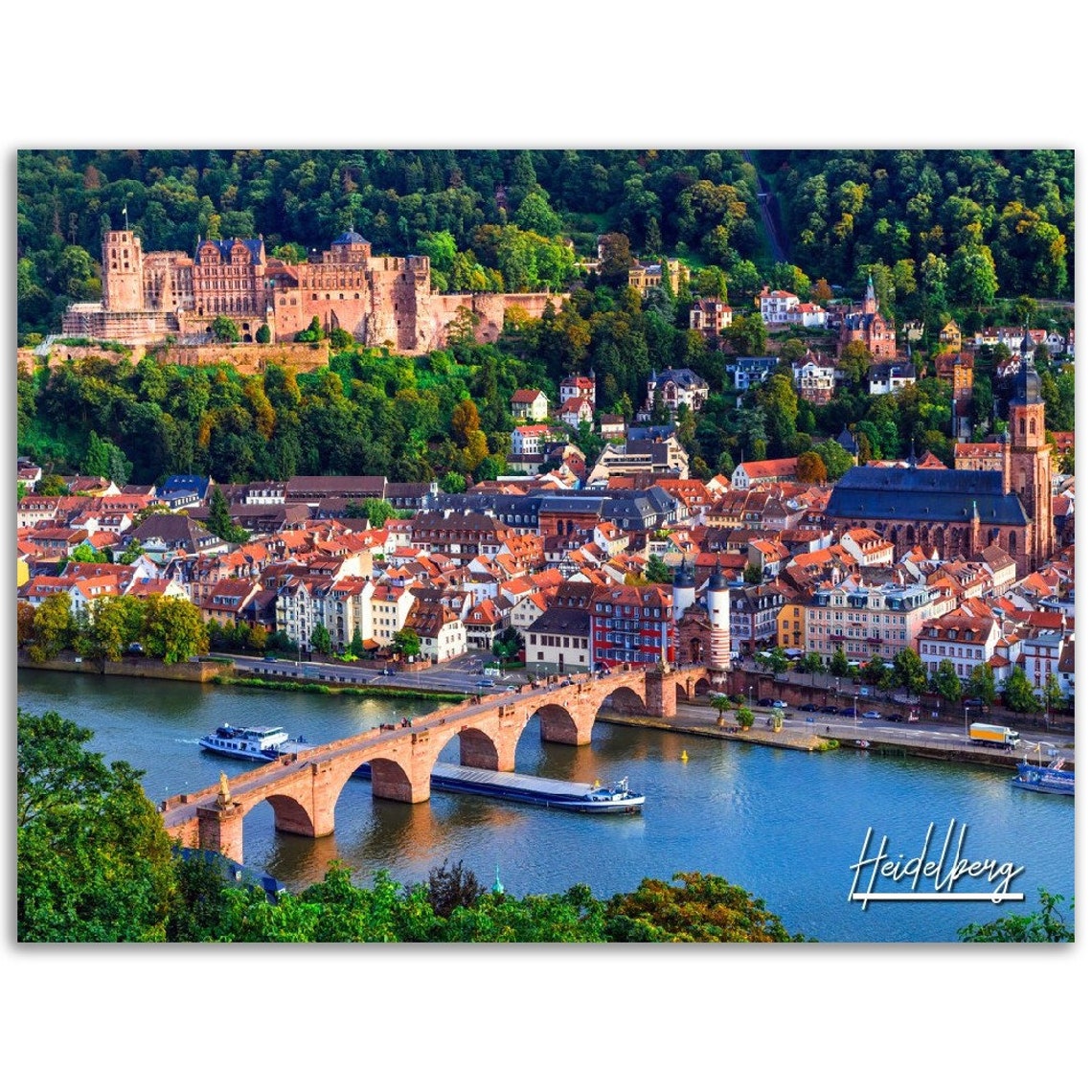 Heidelberg Germany Old Bridge Castle River View Photo Poster