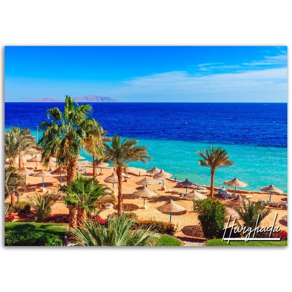 Hurghada Egypt Poster Beach Palm Trees Travel Photo