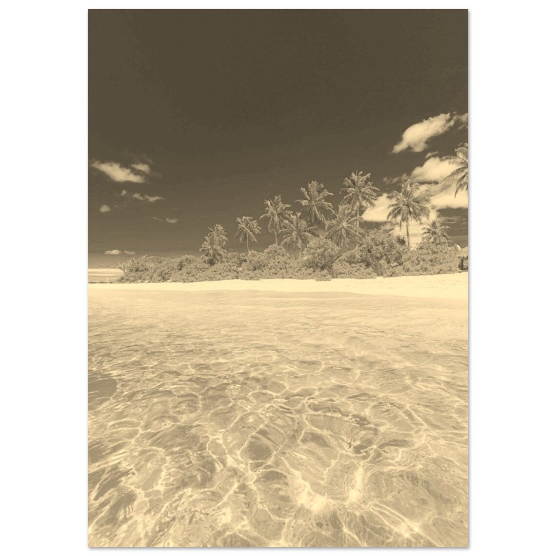 Tropical Sepia Palm Island Shoreline Clear Water Travel Poster