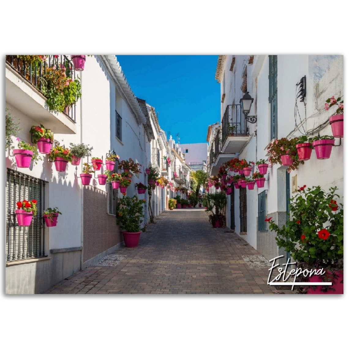 Estepona Spain Flower Filled Street White Old Town Photo Poster