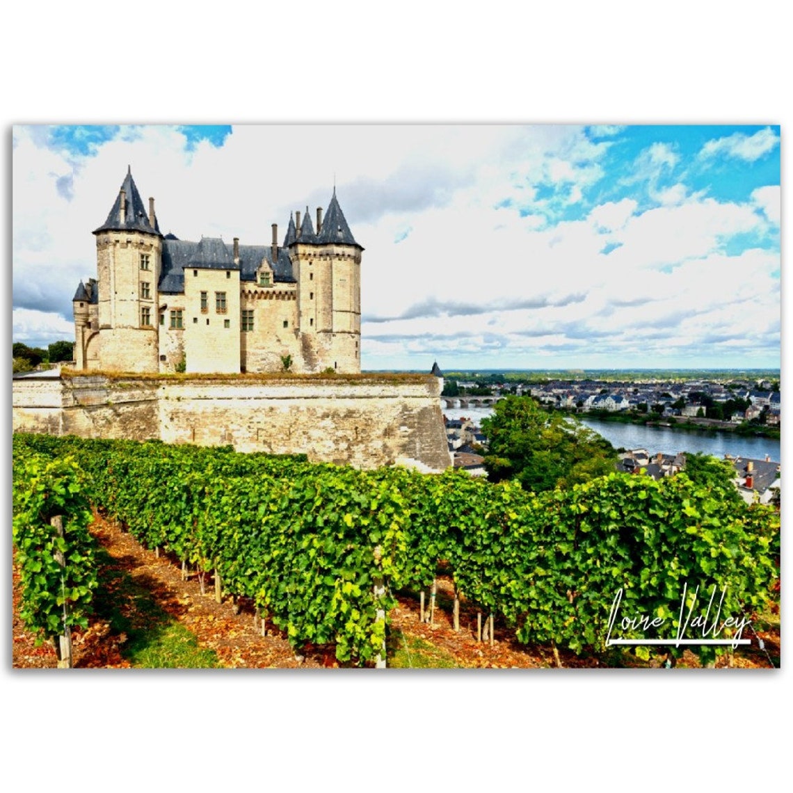 Loire Valley French Chateau Castle Vineyard River Photo Poster