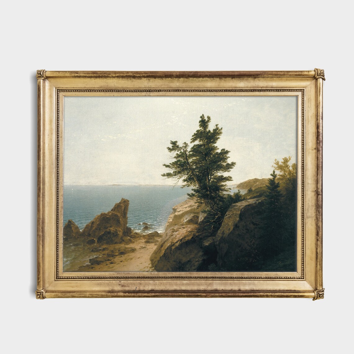 Rocky Coastal Cliff with a Tall Pine Tree Overlooking the Sea Poster - Image 4