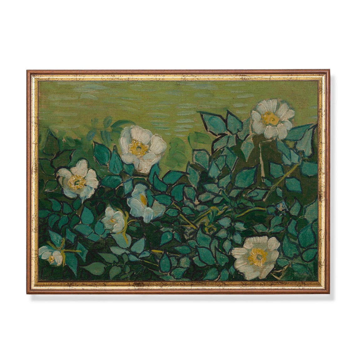 White Wild Roses Green Leaves Impressionist Floral Art Poster
