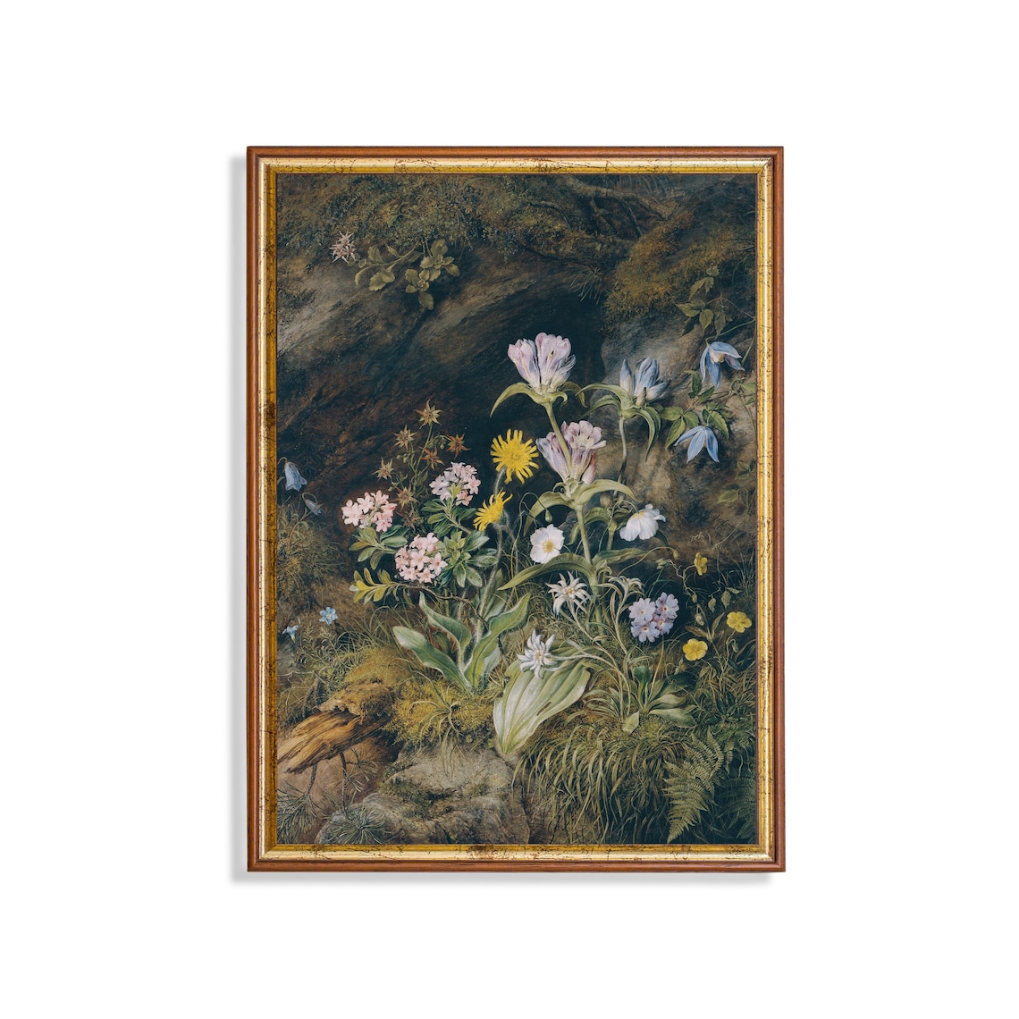 Wildflowers at a Rocky Cave Mouth Vintage Botanical Art Poster