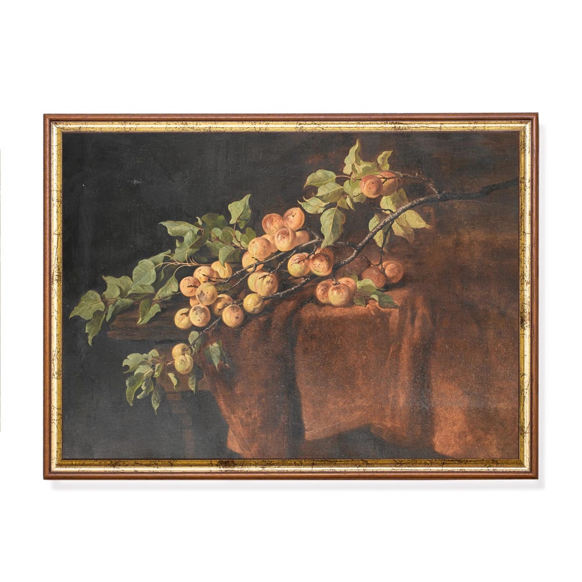 Vintage Apricot Branch Still Life Painting On Dark Background Poster