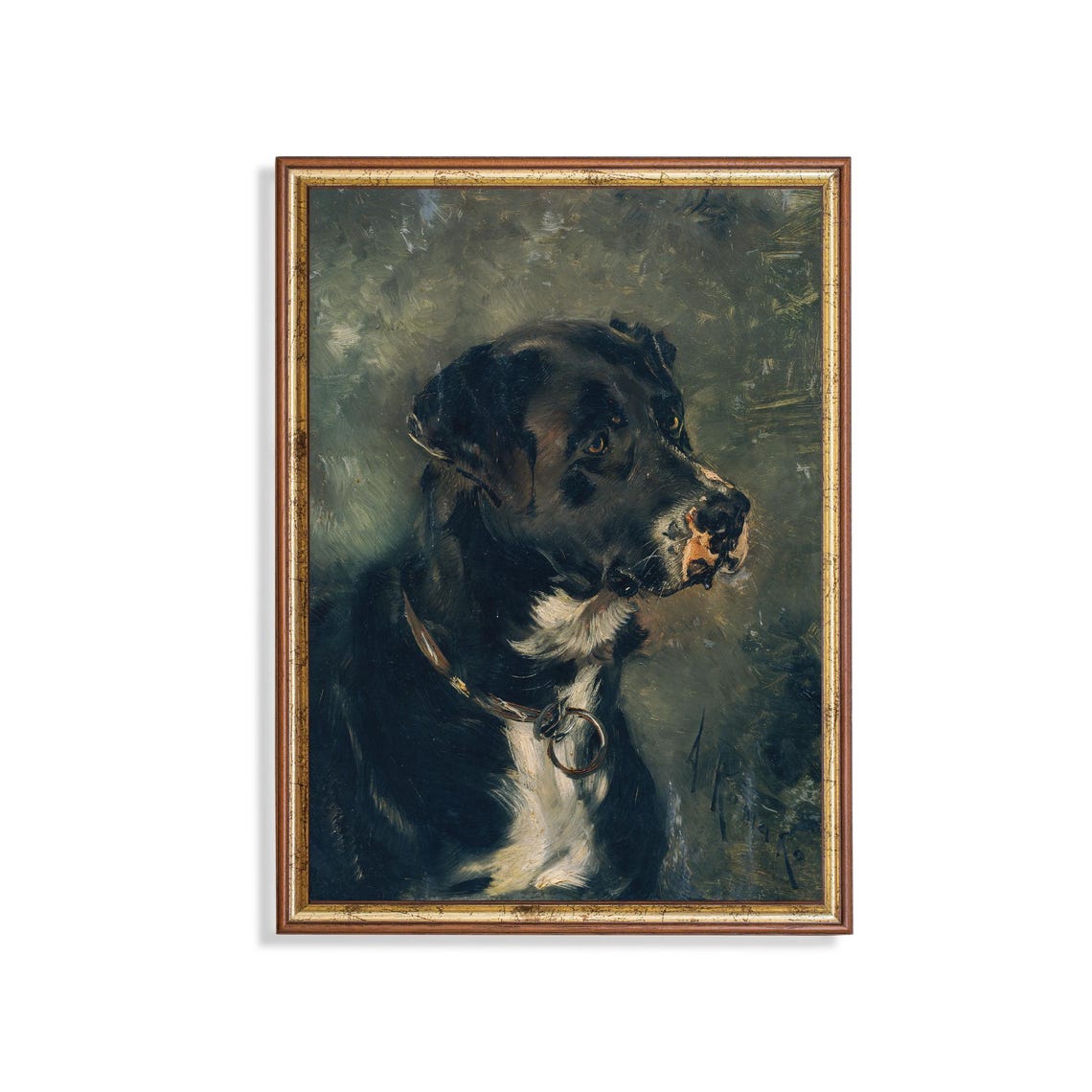 Noble Black Dog Portrait with Collar in Side Profile View Poster
