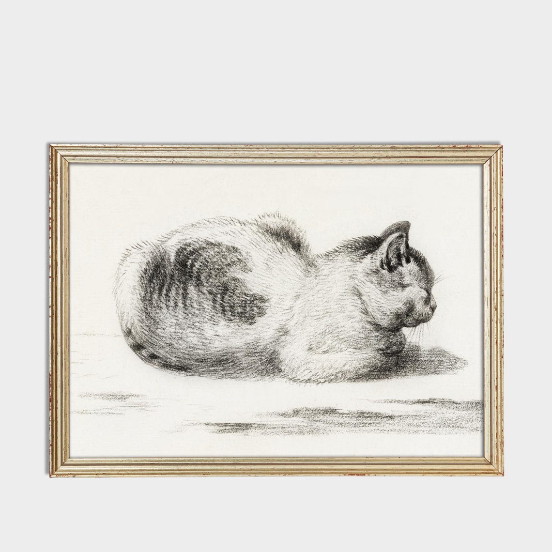 Sleeping Cat Curled Up Tight Vintage Graphite Sketch Art Poster - Image 3