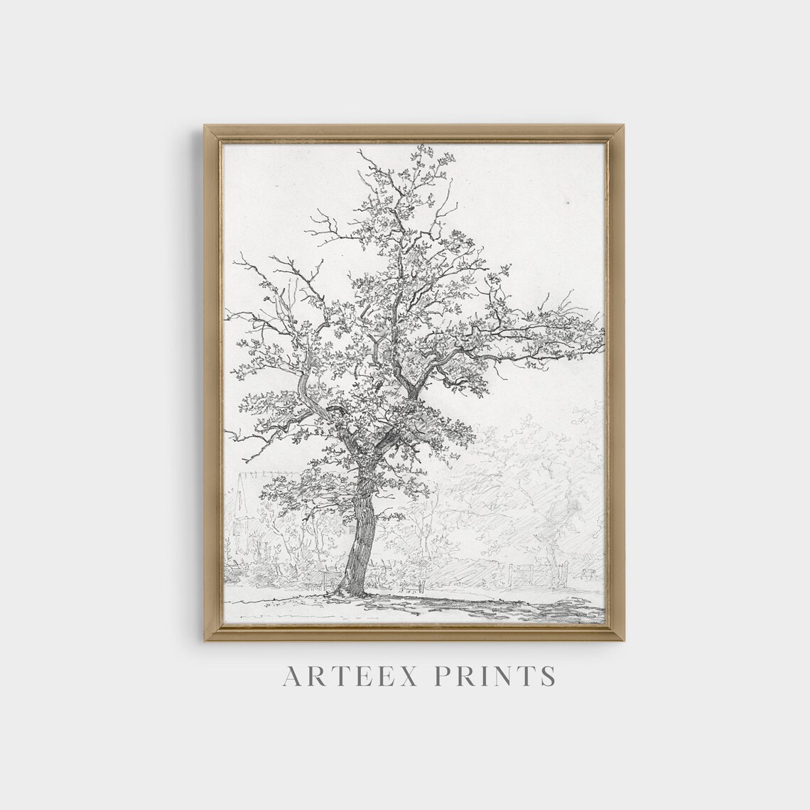 Vintage Tree Sketch Drawing, Neutral Farmhouse Art Print - Image 3
