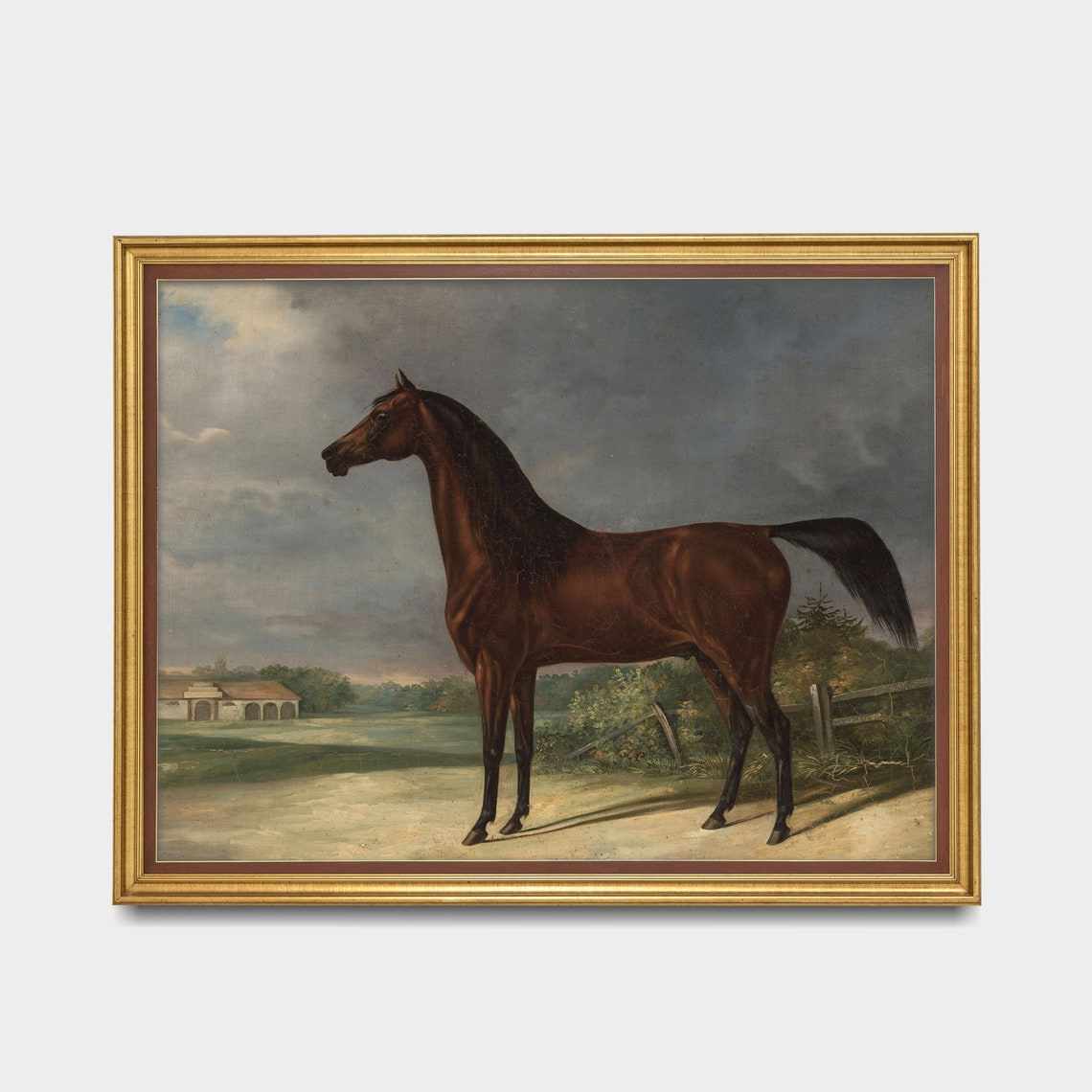 Dark Bay Stallion by the Stable Yard Vintage Horse Portrait Poster - Image 3
