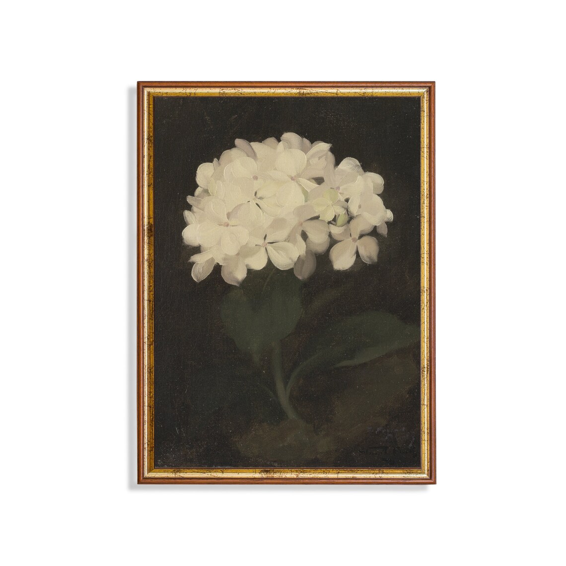 Hydrangea Vintage Botanical Art Print, Farmhouse Decor