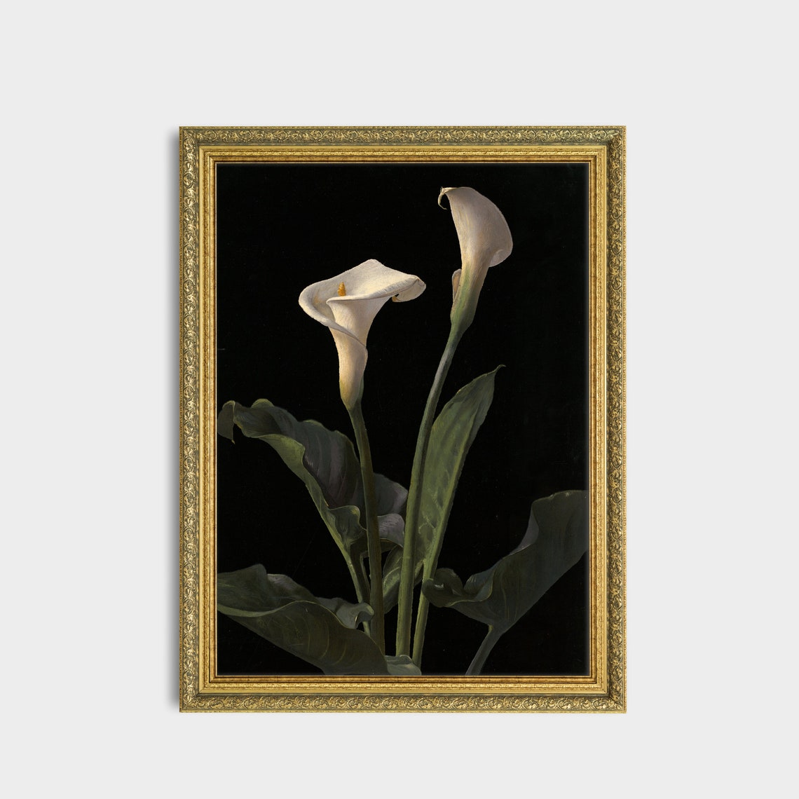 Two White Calla Lilies On Black Background Elegant Floral Art Poster - Image 3