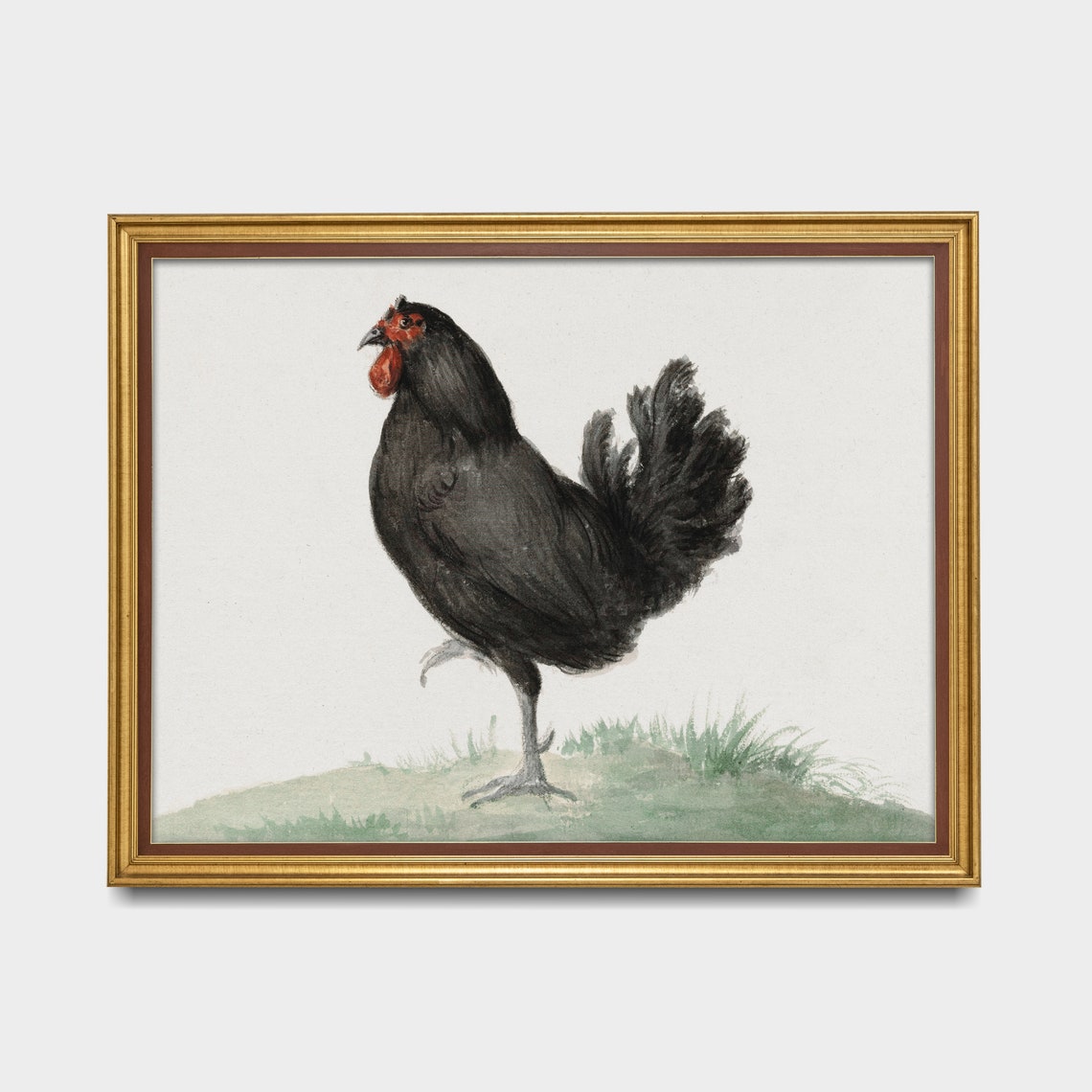 Black Rooster with a Red Comb Standing in Grass Vintage Print - Image 4