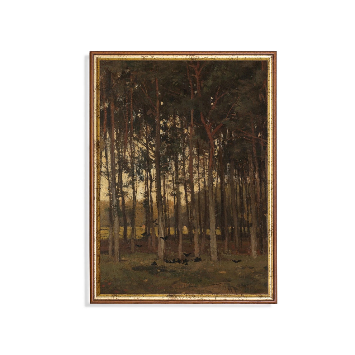 Dark Pine Forest at Dusk with Crows on the Shadowed Ground Poster