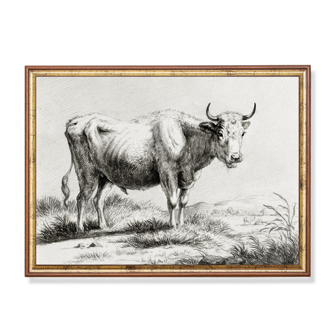Grazing Bull in a Meadow Antique Black and White Engraving Poster