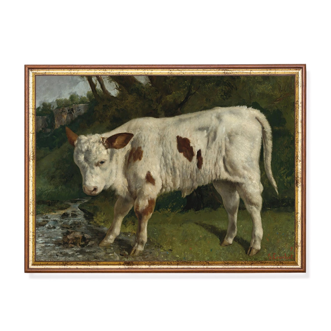 White Calf with Brown Spots Drinking at a Stream Farm Poster