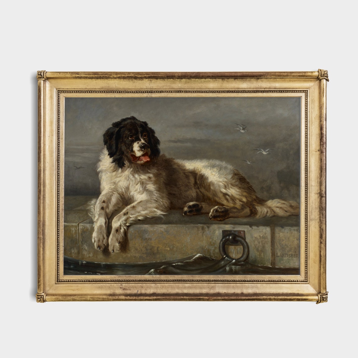 Newfoundland Dog Resting on Pier Edwin Landseer Painting Poster - Image 2
