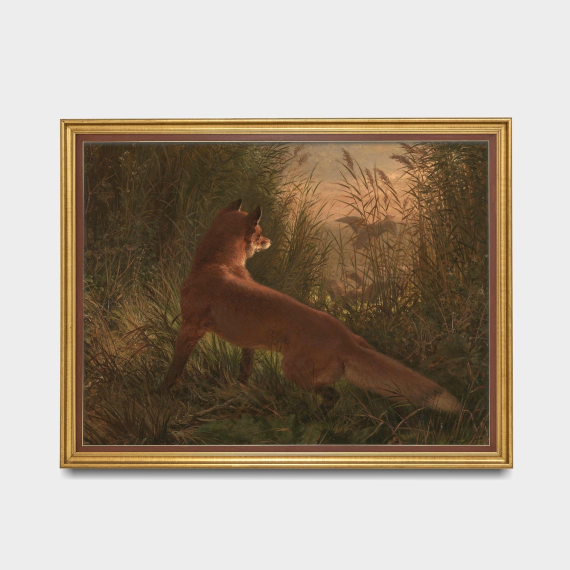 Red Fox Prowling Through Tall Reeds at Dusk Oil Painting Poster - Image 3
