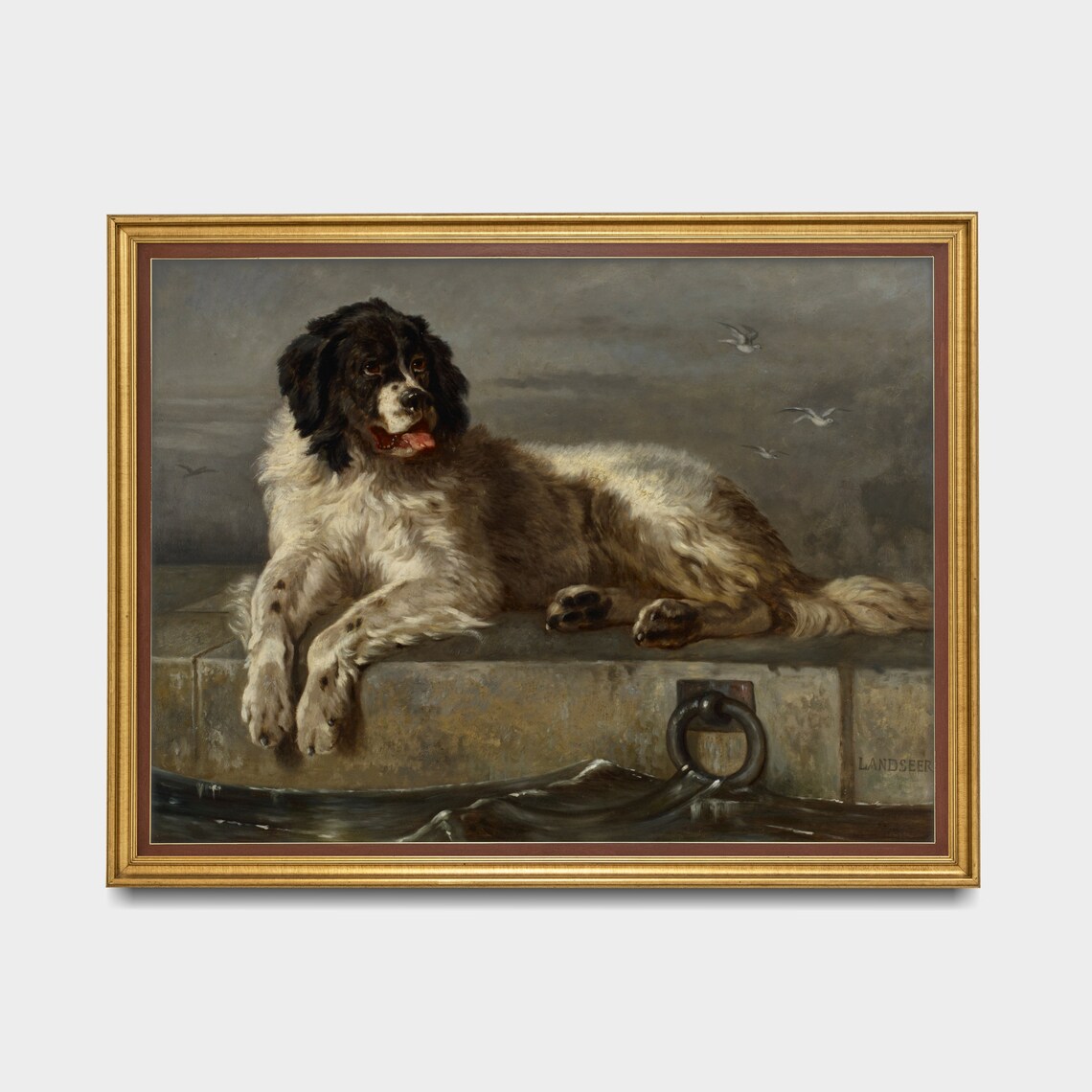 Newfoundland Dog Resting on Pier Edwin Landseer Painting Poster - Image 3