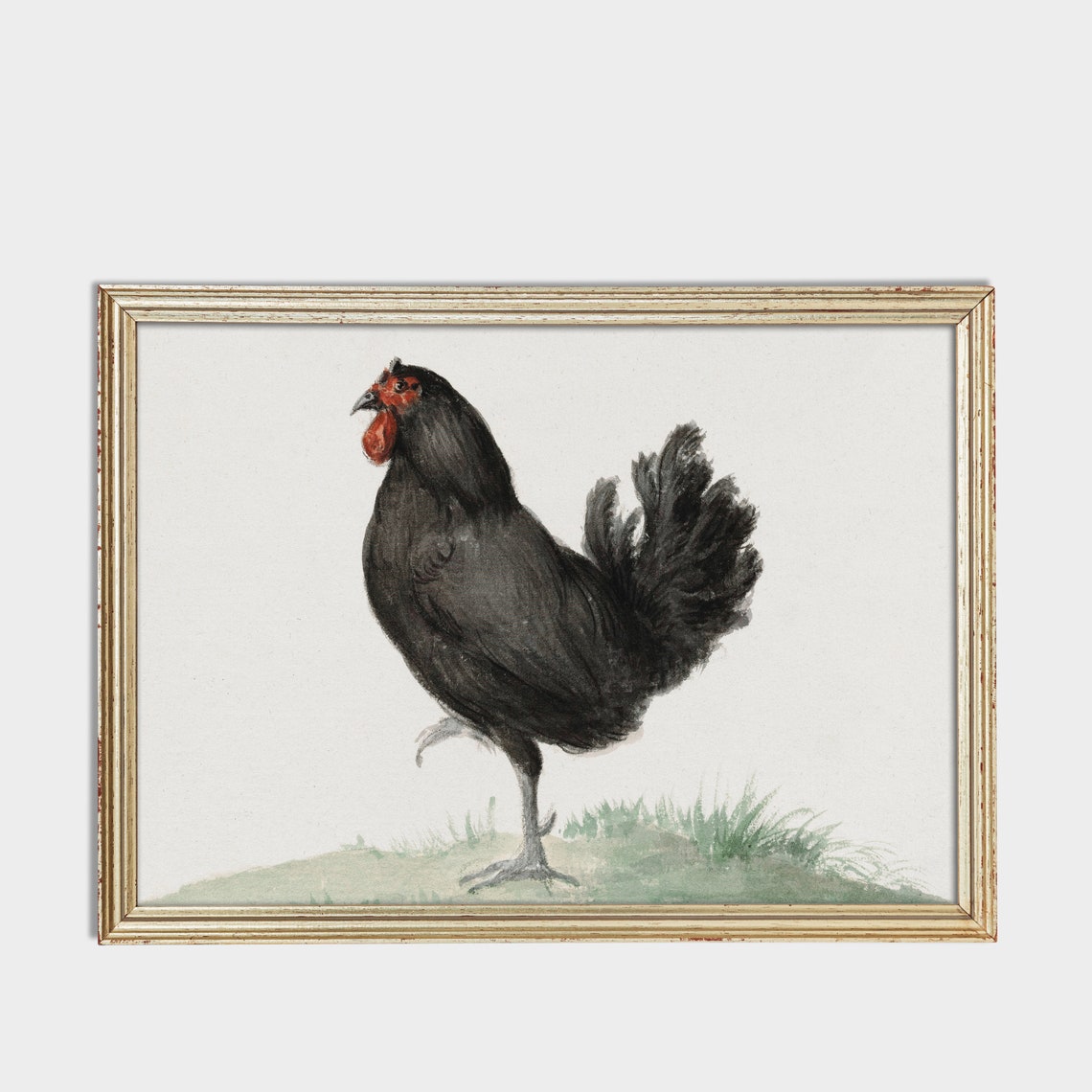 Black Rooster with a Red Comb Standing in Grass Vintage Print - Image 3