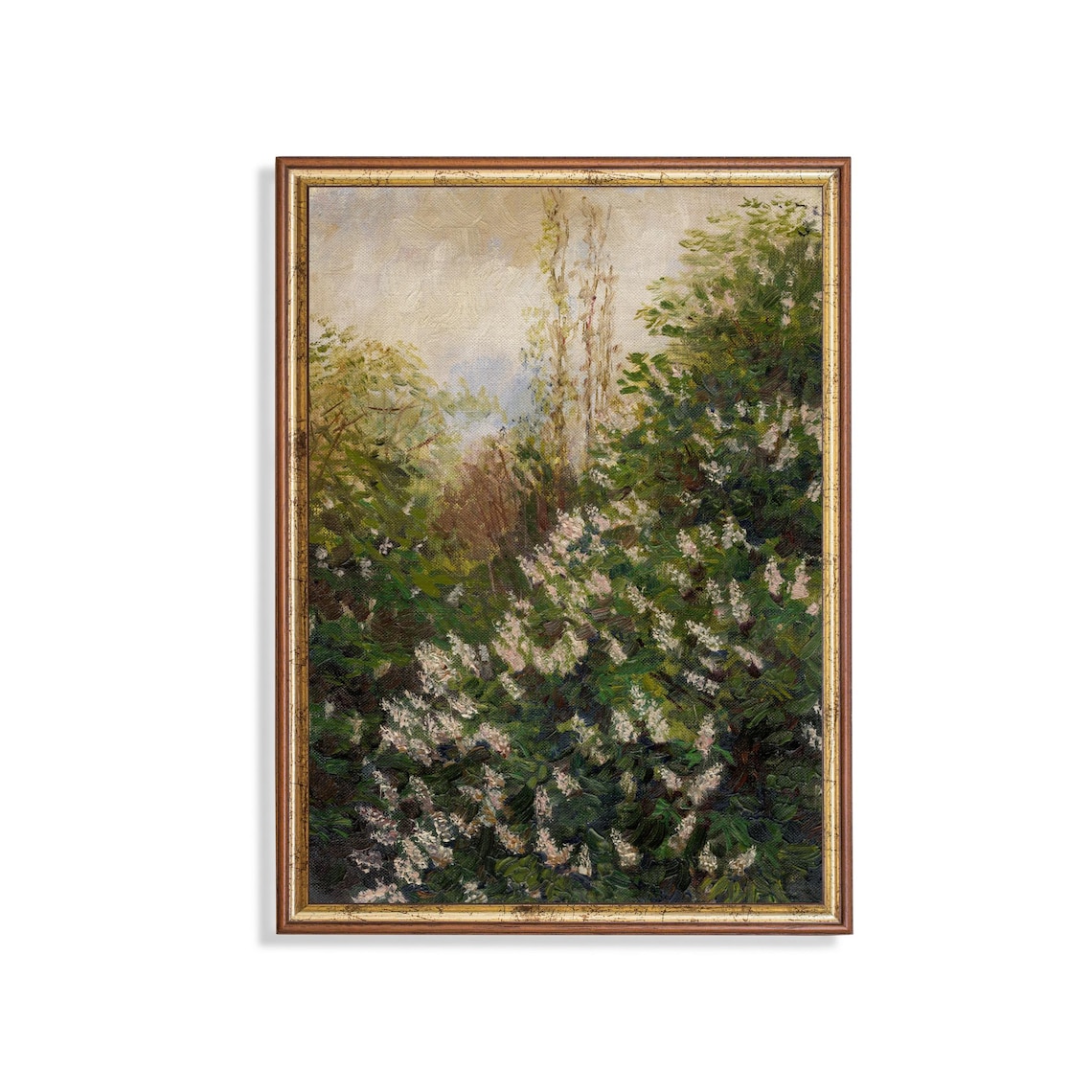 Blooming Lilac Bush White and Pink Blossoms Garden Floral Poster
